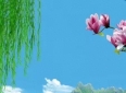 真正的友情：久处不厌，闲谈不烦
