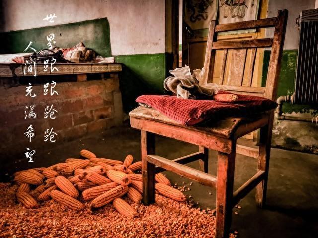 感人的人间故事：看过2026这些真实小事才懂，善意藏在市井烟火里