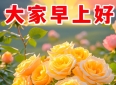 真挚的友情，化作一声问候，暖流涌动在心间；美好的祝福，承载着温馨与关怀，陪伴你度过每个早晨！