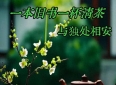 人到半生，终于读懂：所有友情，皆有归期