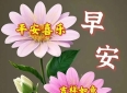 《15张超萌早安表情图，共享愉悦心情与真挚友情》