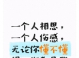 一个人相思，一个人伤感，无论你懂不懂得，你都是我一生的期许