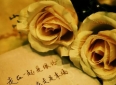 「木心.爱情语录」从前，车马慢，一生只爱一个人.