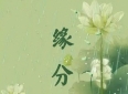 爱情小故事：缘分