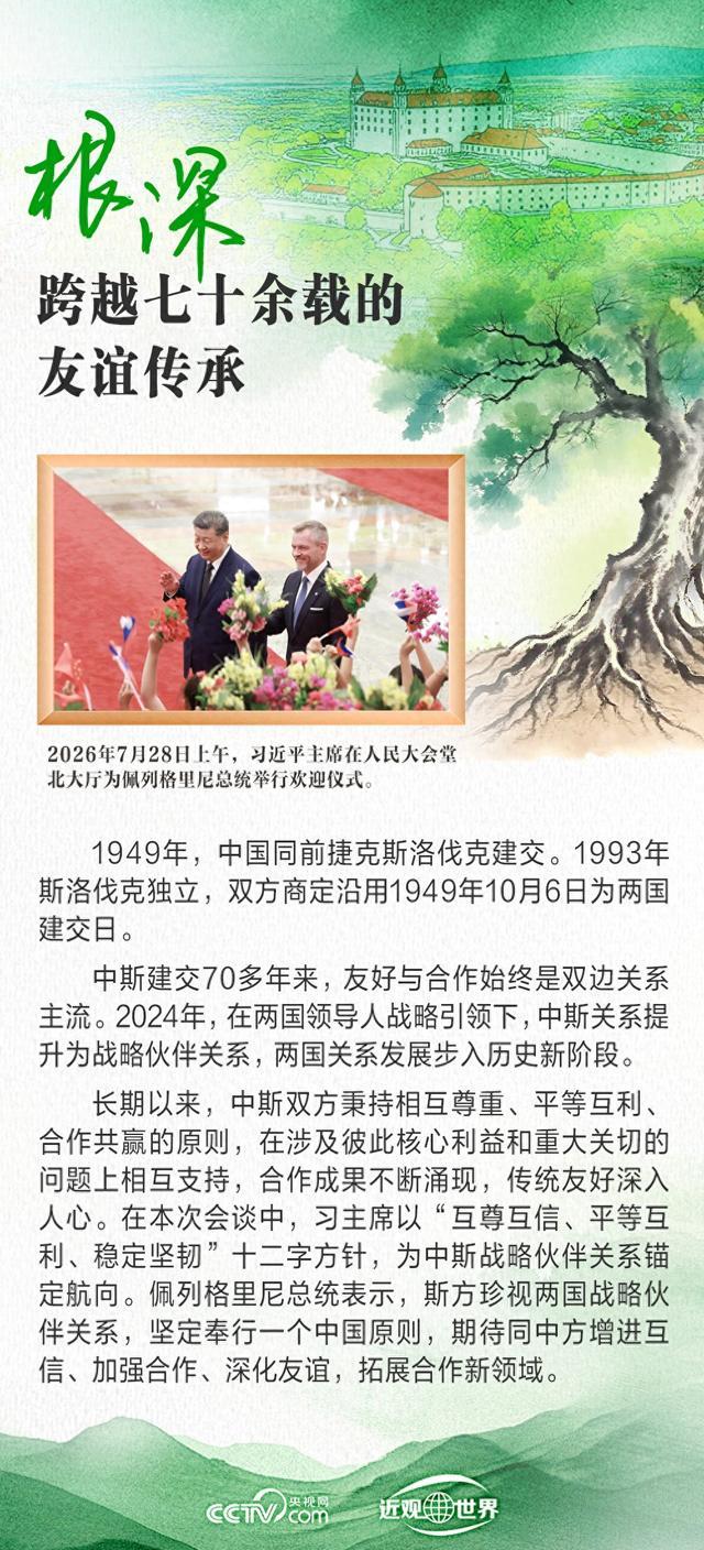 中斯友谊之树根深叶茂