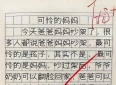 今天刷到一篇小学生的日记，看完有点说不出话。