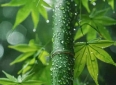 不要相信任何感情，不管亲情，爱情还是友情，你只能相信自己