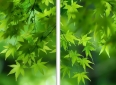 10句经典语录，读完瞬间醍醐灌顶，句句入心！