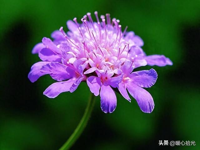 20句，深层哲理，高情商感悟短句，温润通透，不浮躁