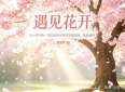 路遇在心灵文字里看温暖人间
