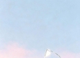句句走心 字字入骨
