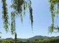 冰雨说故事-十大爱情故事（一）天仙配（5）岁岁相思，余生不渝