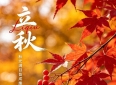 两性情感：有一种煎熬：入了心的人，想见无缘，想忘不甘