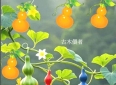 头条爆款文：烟火遇温柔，婆媳胜至亲