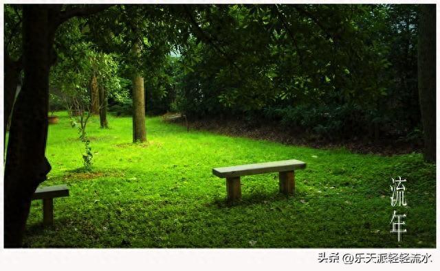 我的生命励志故事