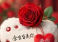 5句温柔深情的话语，写给灵魂爱人