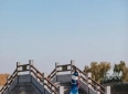现代人该学学3000年前这首暗恋日记