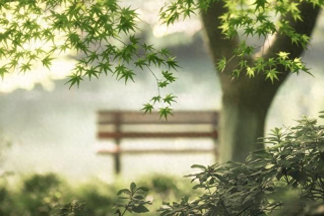 15个人生感悟，句句人间清醒，渡心亦渡己