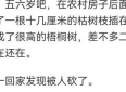 校园友情的双向奔赴：从桀骜到感恩，谁才是真正的好人？