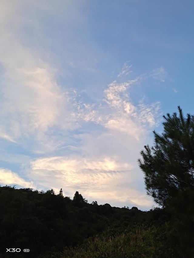 情感文：前半生为家人操劳半生，后半生寻一处清凉，好好善待自己