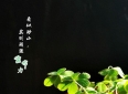 《一生坚持复利的10个小事，越早开始越受益》完整读书笔记