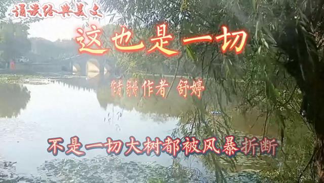 诵读经典美文：舒婷《这也是一切》