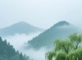15句激励人心的至理名言，迷茫低谷时反复品读