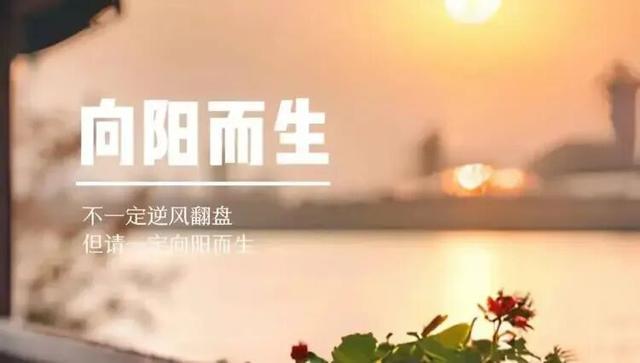 21句人生哲理经典励志语句，句句精辟入心，值得收藏