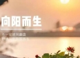 21句人生哲理经典励志语句，句句精辟入心，值得收藏