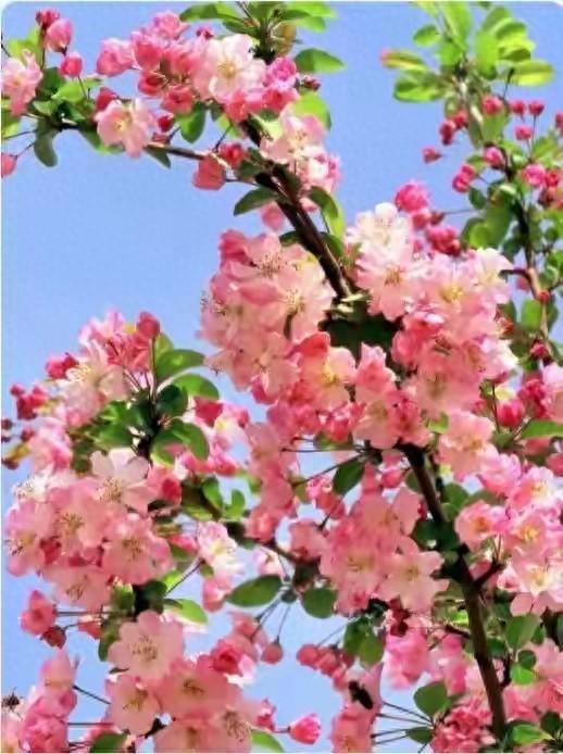 两性情感：一生婚姻最深的痛苦“她走了，我却在”。