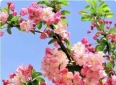 两性情感：一生婚姻最深的痛苦“她走了，我却在”。