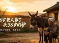 78岁大爷养38岁毛驴，同吃同住不离不弃，感人故事让无数网友泪目