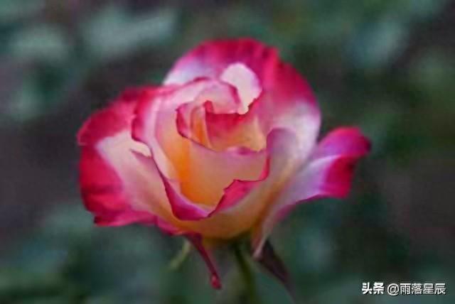 真心难得，边界更难：别把暧昧的好感，毁掉一段难得的友情