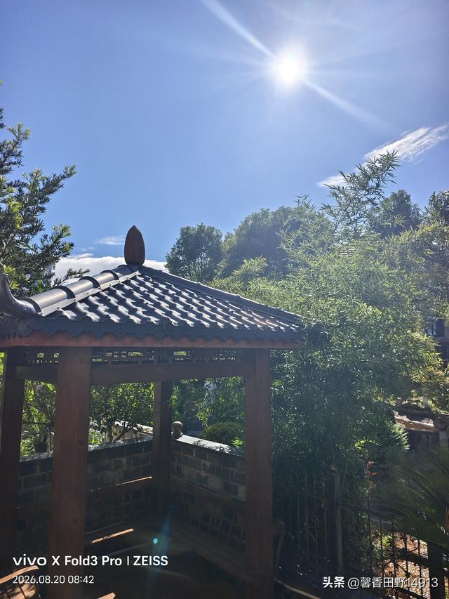 哲理散文：为学日增，为道日损