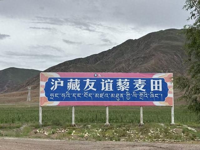 雪域高原上的友谊，从一粒种、一把琴、一个景点说起