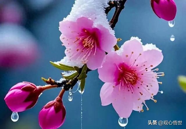两性关系：如果你有过情人，又悄无声息的落幕，是感情最好的成全