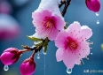 两性关系：如果你有过情人，又悄无声息的落幕，是感情最好的成全