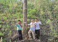 用善意与真诚播种绿洲——毛乌素沙地里的跨国情谊