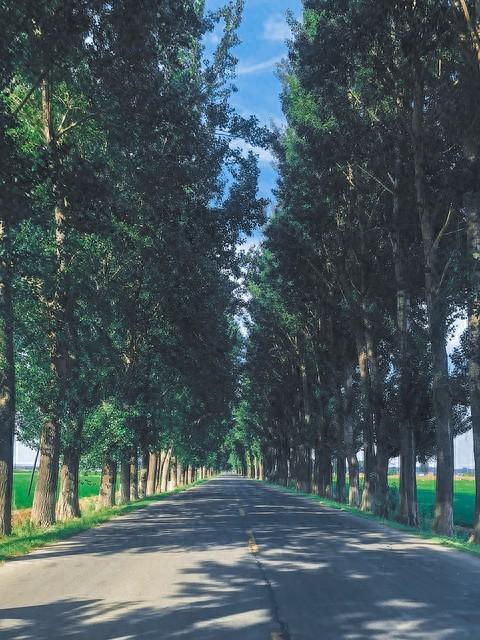 情感语录 他在你身上宣泄寂寞，你却天真的以为那就是爱情