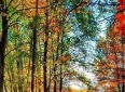 7句人生感悟，读完瞬间清醒