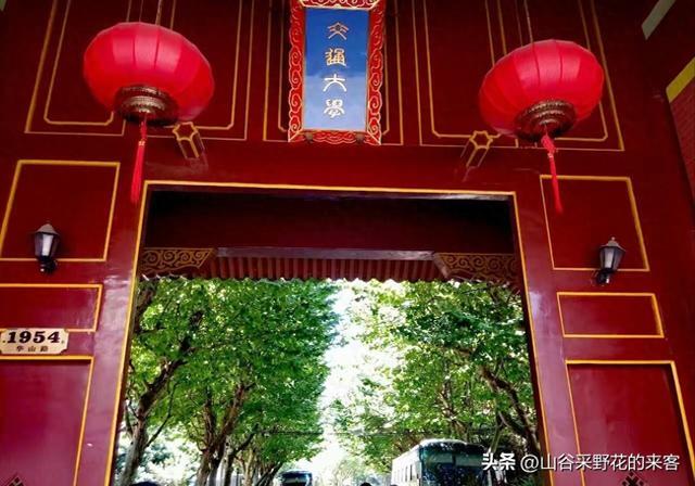 自学逆袭上交大！山西少年的励志故事，千万别盲目复制