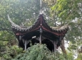 冰雨说故事-十大爱情故事(八)凤求凰（1）跨越两千年的世俗私奔