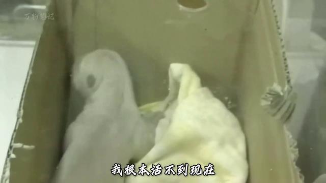 感人的故事，心灵的共鸣。