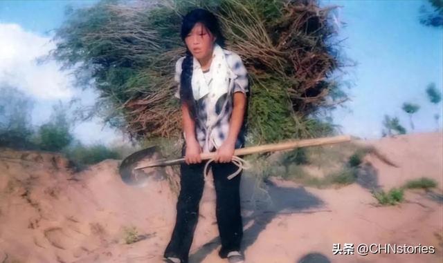 5000美元变5万棵树，这对兄妹27年后相拥，背后的故事让人感动
