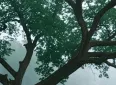 男女之间，纯友谊真的存在吗？为什么最后都变成了暧昧
