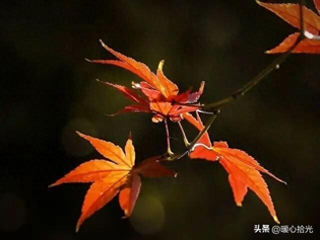 24句，富有哲理的精辟句子，收藏起来慢慢品