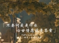 感情里最好的答案，不过就是心甘情愿
