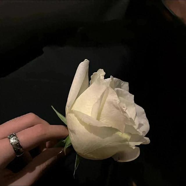 让异性上瘾的关系，从来不是真心：12句清醒语录读懂感情底层逻辑