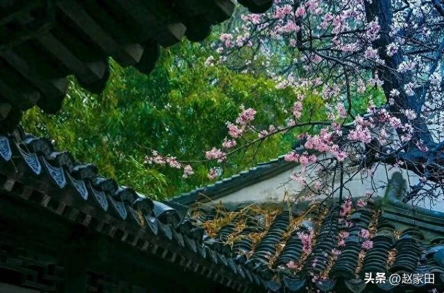 今日推文：温馨治愈文，远方的田园才是我们的精神向往~