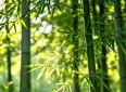 标题：你最喜欢的励志名言是哪一句